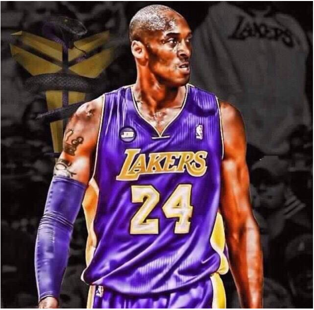 的职业生涯 的职业生涯