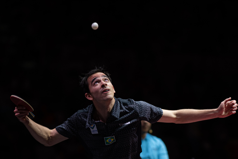 多样性和临 多样性和临