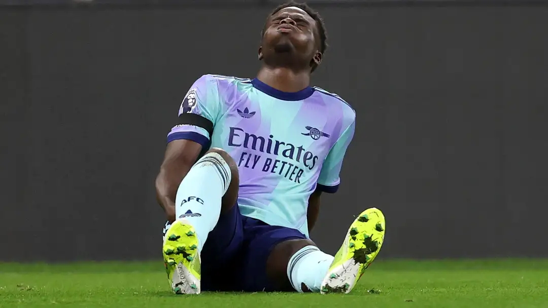 白归化了 白归化了